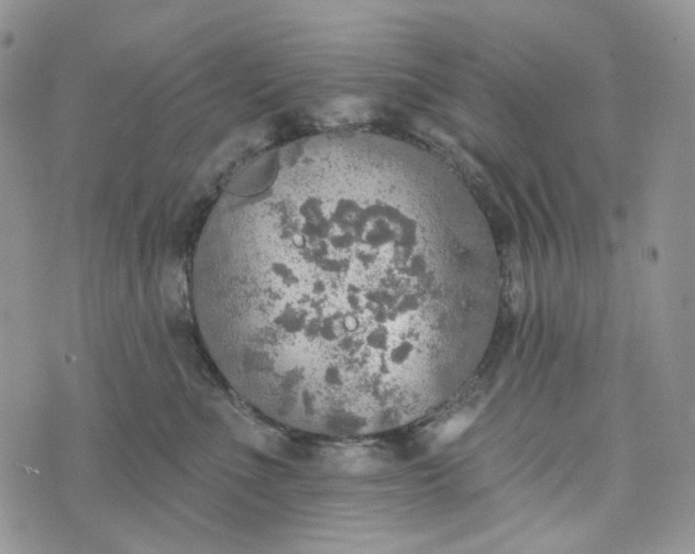 X0000072970523200608041221