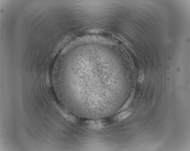 X0000072970524200608041221