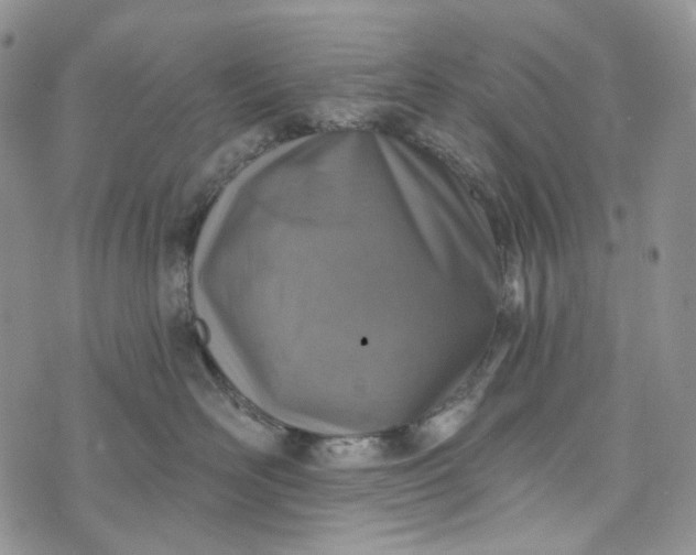 X0000072970526200608041221