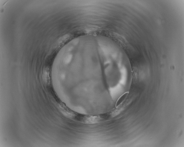 X0000072970527200608041221