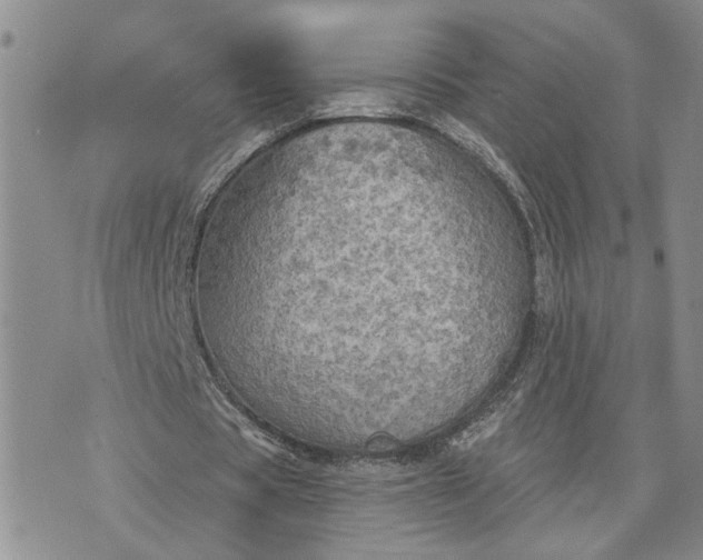 X0000072970529200608041220