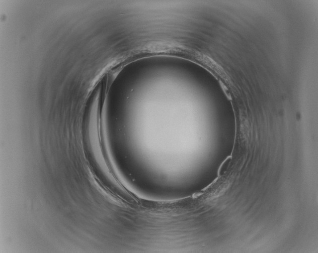 X0000072970530200608041220