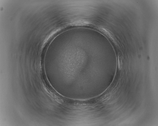 X0000072970531200608041220