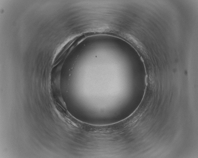 X0000072970532200608041220