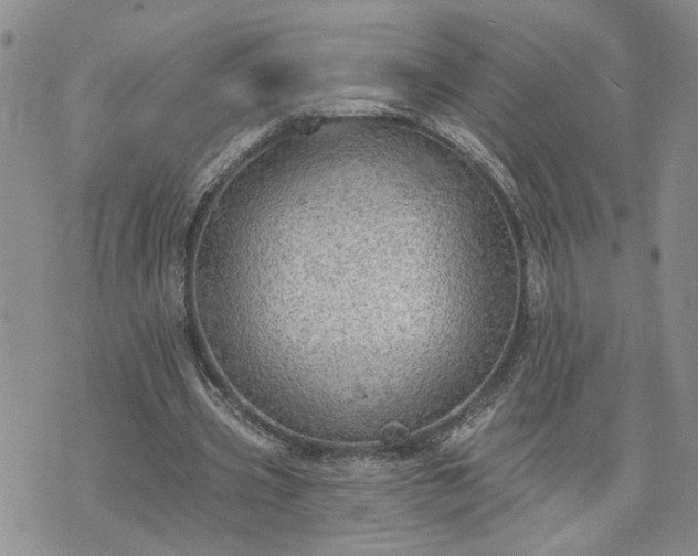 X0000072970533200608041220