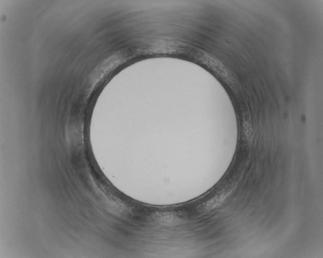 X0000072970534200608041220