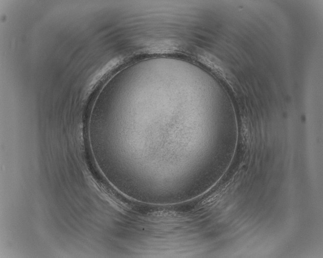 X0000072970535200608041220