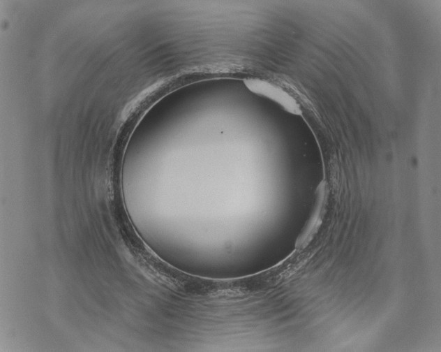 X0000072970536200608041220