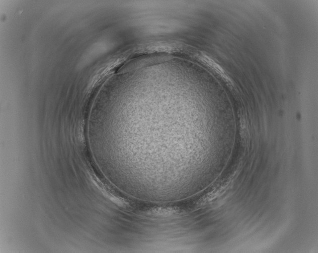 X0000072970537200608041220