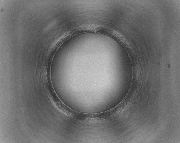 X0000072970538200608041220