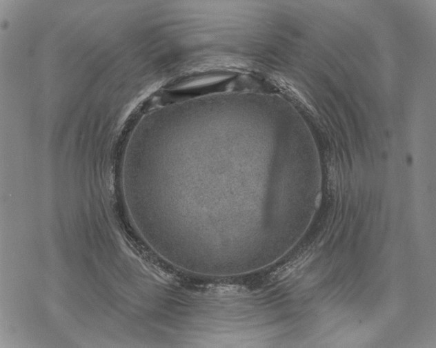 X0000072970539200608041220