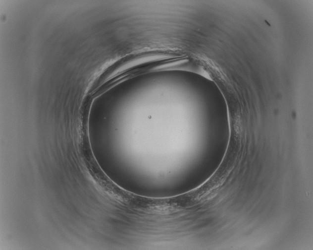 X0000072970540200608041220