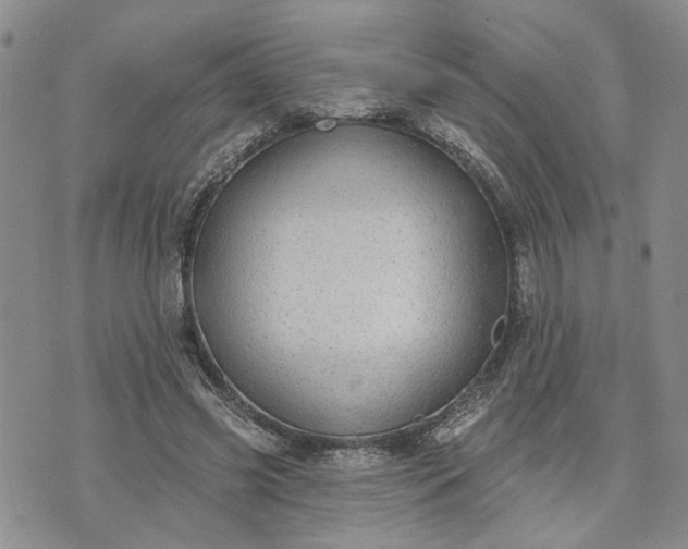 X0000072970541200608041220