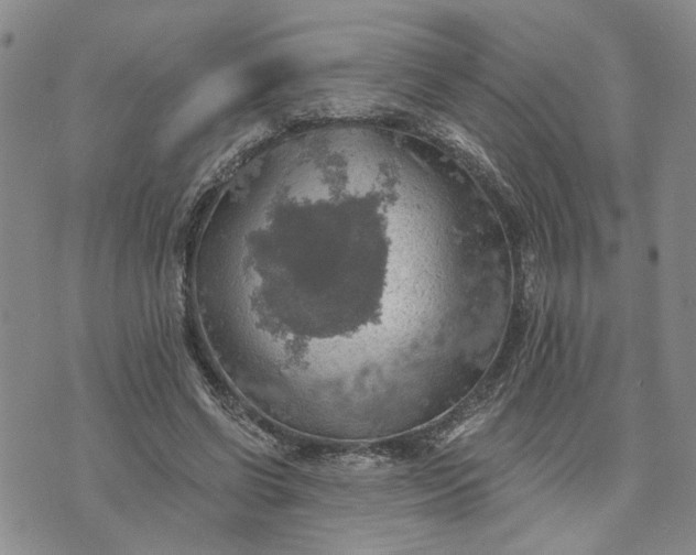 X0000072970542200608041220