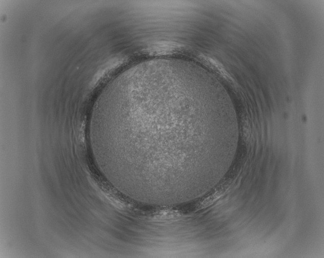 X0000072970543200608041220