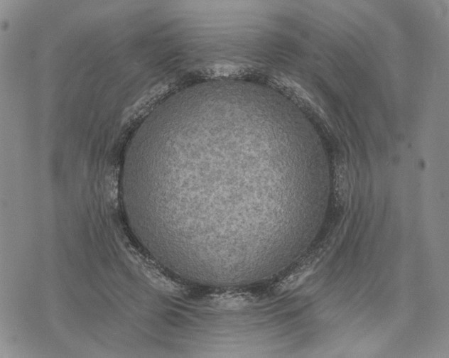 X0000072970545200608041220