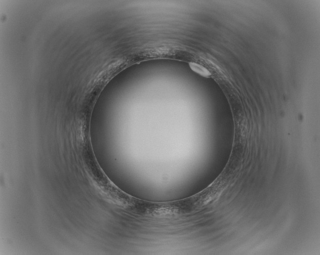 X0000072970546200608041220