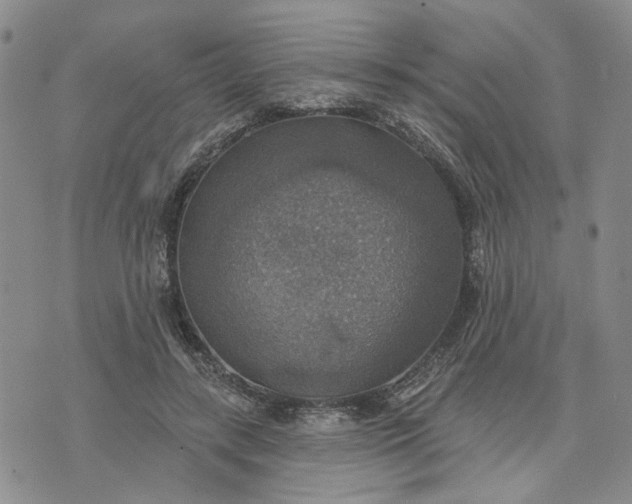 X0000072970547200608041220