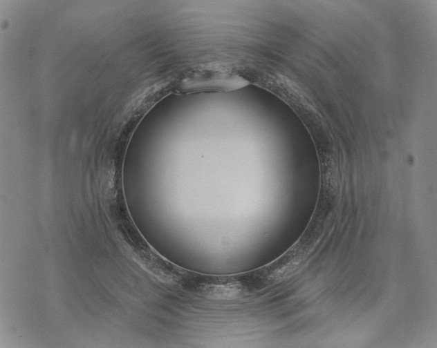 X0000072970548200608041220