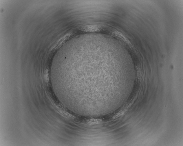 X0000072970549200608041220