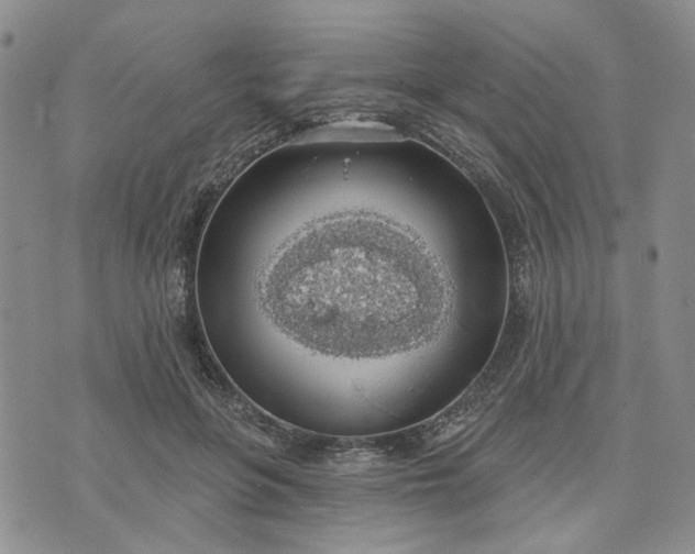 X0000072970551200608041221