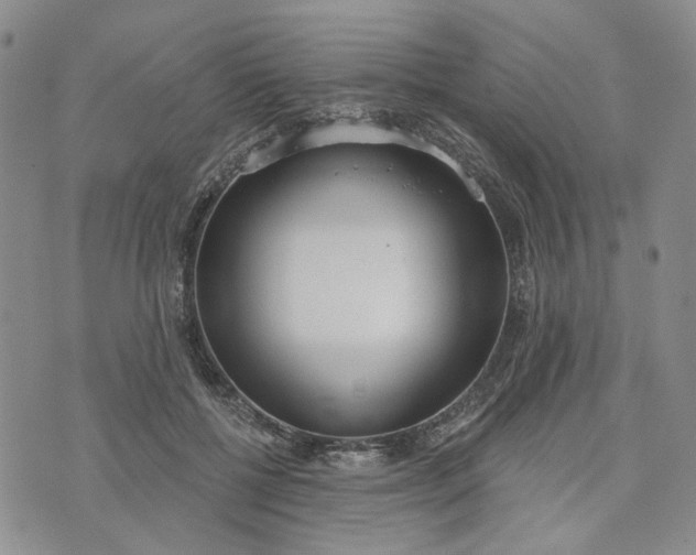 X0000072970552200608041221