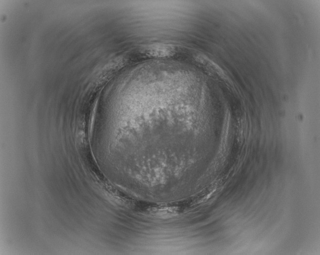 X0000072970553200608041221