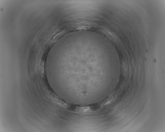 X0000072970554200608041221