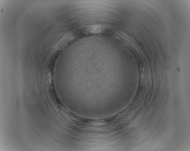 X0000072970555200608041221