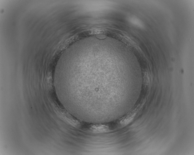 X0000072970557200608041221