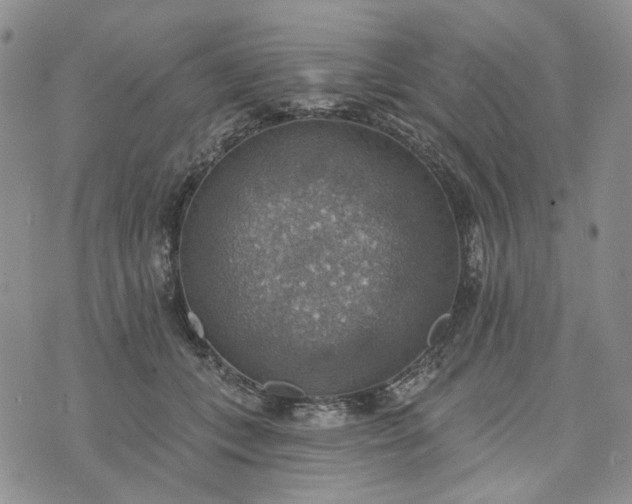 X0000072970559200608041221