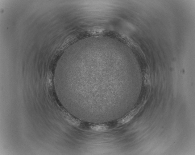 X0000072970561200608041221