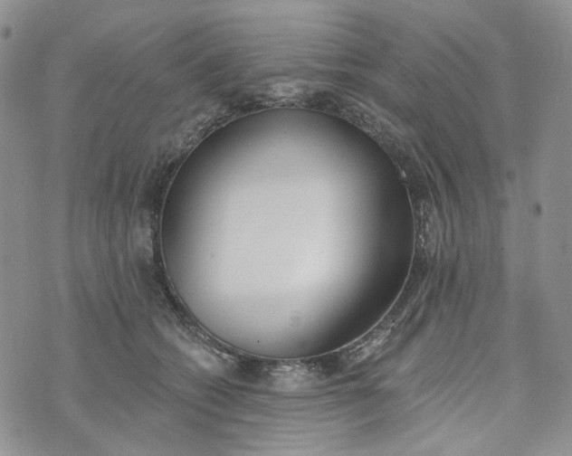 X0000072970562200608041221