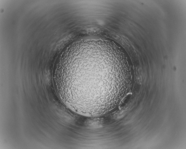 X0000072970563200608041221