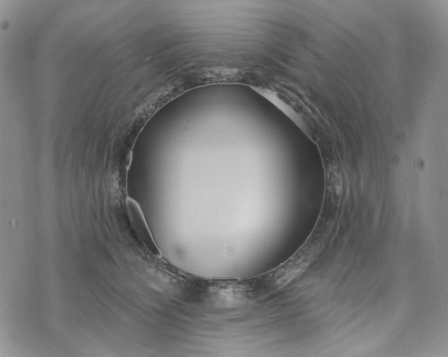 X0000072970564200608041221