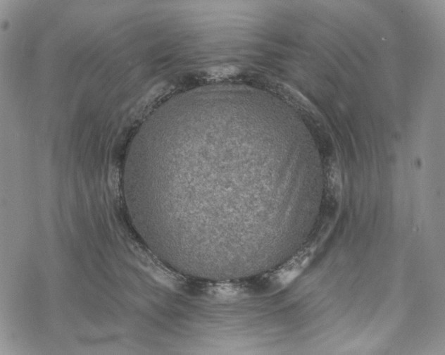 X0000072970565200608041221