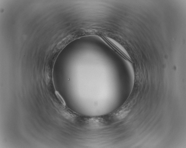 X0000072970566200608041221