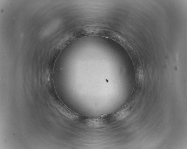 X0000072970567200608041221