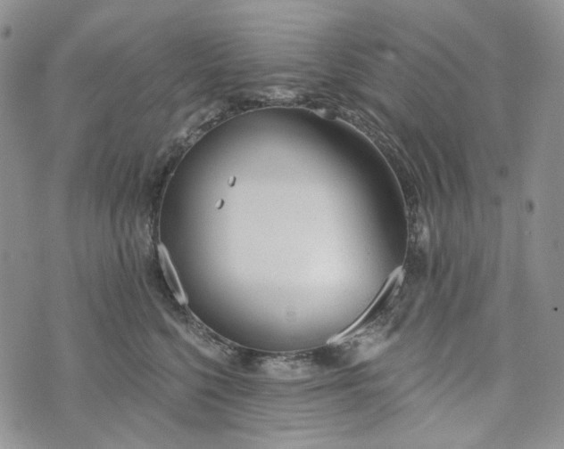 X0000072970568200608041221