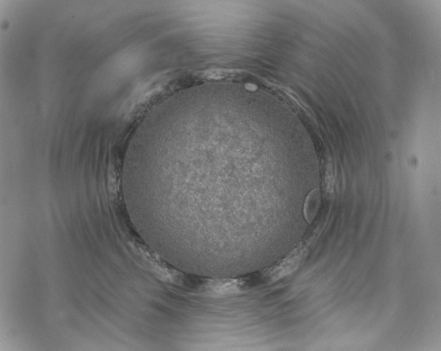 X0000072970569200608041221