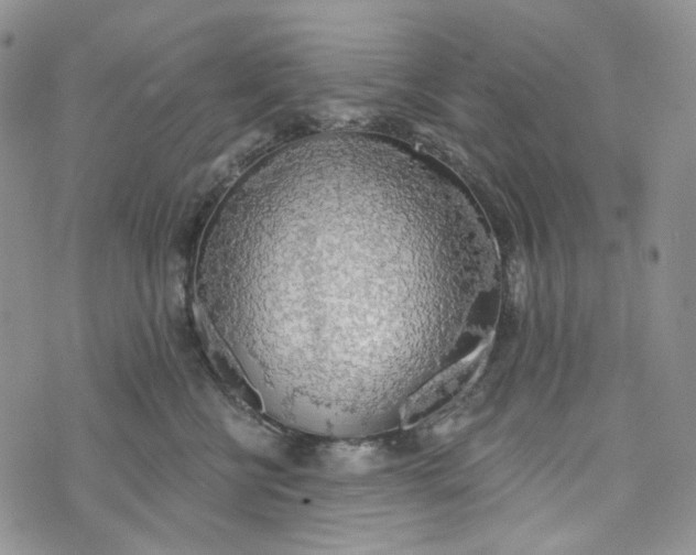 X0000072970570200608041221