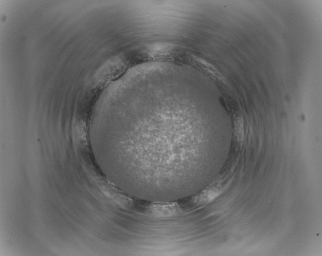 X0000072970571200608041221