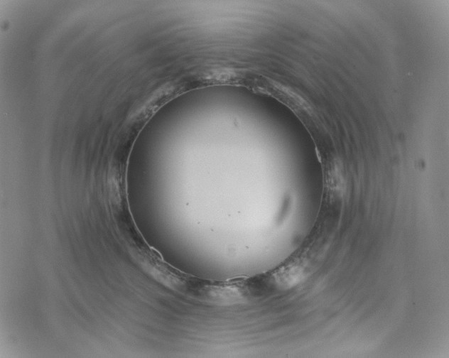 X0000072970572200608041221