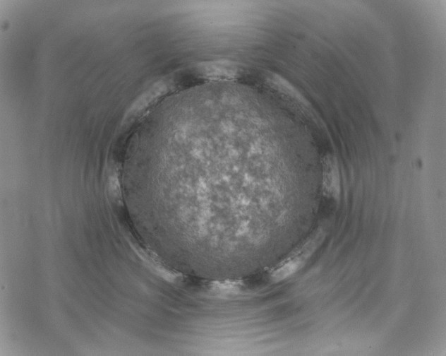 X0000072970573200608041221