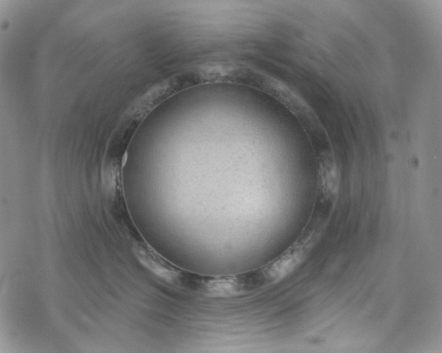 X0000072970574200608041221