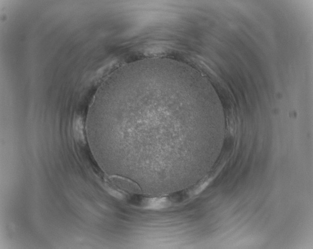 X0000072970575200608041221