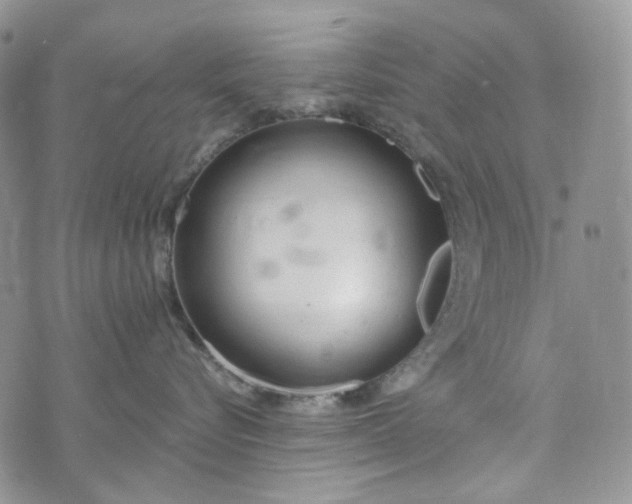 X0000072970576200608041221