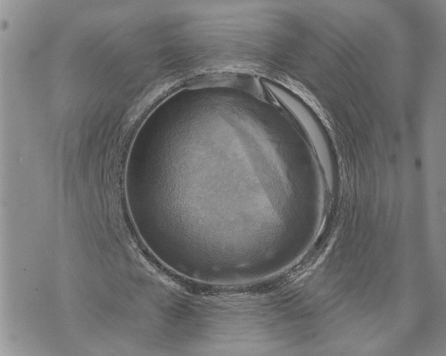 X0000072970577200608041220