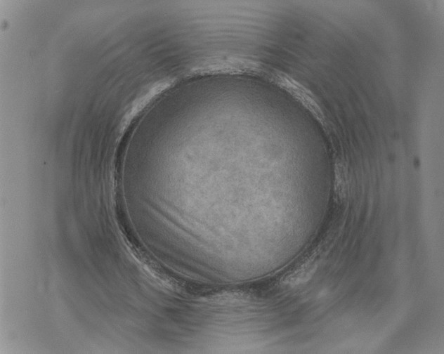 X0000072970578200608041220