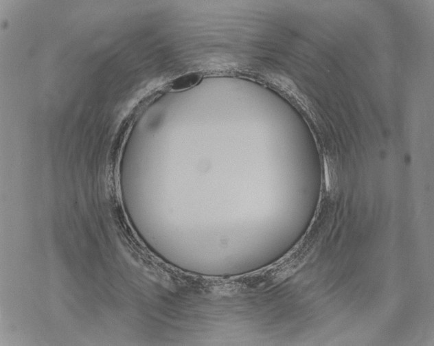 X0000072970579200608041220